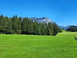 Grundstück mit Haus "Wohnen wie auf der Alm" für Erwerb keine landwirtschaftliche Ausbildung nötig