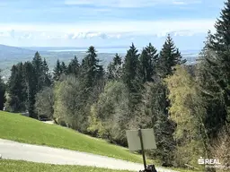 Beste Aussichten!