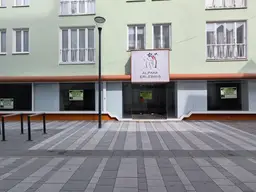 ZENTRALE GESCHÄFTSFLÄCHE