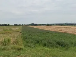 Großzügige Gewerbefläche in Antau: 24.561 m² für VB 1,2 Mio. €