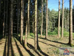 Schöner ca. 8,7 ha großer Mischwald! 