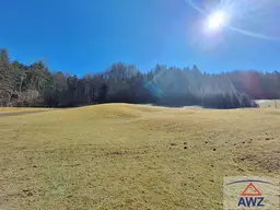 Einzigartiges Grundstück am Waldrand: Naturparadies mit Baugrund!