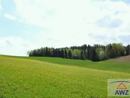 Schöner leistbarer Baugrund mit Grünland!