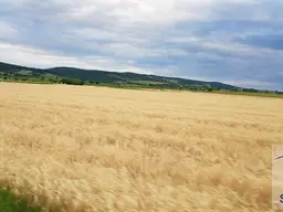 Landwirtschaftliche Flächen!
