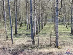 Schöner Wald, Weide