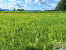 Sonniger Baugrund bei St. Ruprecht an der Raab -- zwischen Weiz &amp; Gleisdorf