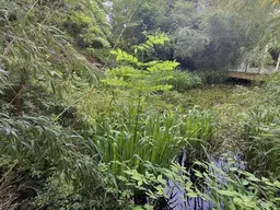 Einmalige Gelegenheit in Gleisdorf - ca. 2.200 m² Grundstück mit Altbestand in Ruhelage!