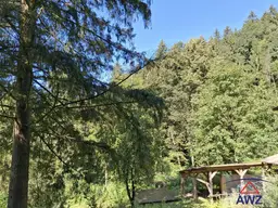 Idyllisches Traumhaus in ruhiger Waldlage mit Bach und romantischem Flair