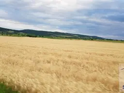 Schöner Acker zu kaufen!