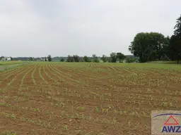 Schöner Acker im Machland, ca. 9700 m2