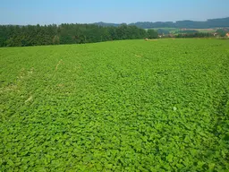 Ca. 3,7 ha Ackerfläche und ein kleines Waldstück in der Nähe von Oberravelsbach!
