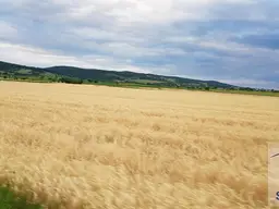 Schöner Acker in Garsten / Steyr!