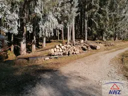 Schöner Wirtschaftswald in Wald/Schoberpass!