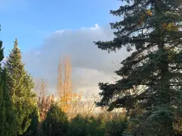 Top! Traumhaftes Grundstück am Veiglberg mit Bestandsgebäude! Natur, Ruhe und Potenzial in bester Lage!