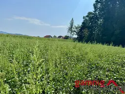Baugrund mit Potenzial in Klagenfurt-Wölfnitz