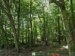 Herrliche Waldlage! Grundstück nahe Gablitz am Riederberg