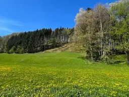 Baugründe in wunderschöner, sonniger Lage! Ein Höchstmaß an Lebensqualität!