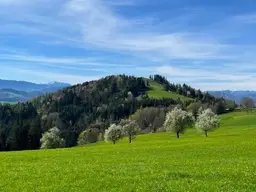 Apfelbaumblüte vor Ihrem Haus im schönen Mostviertel - Baugründe in wunderschöner, sonniger Lage!