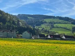 Im Mostviertel blühen wieder die Bäume ... - Baugründe in wunderschöner, sonniger Lage!