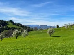 Bauträgerobjekt im Mostviertel - Baugründe in wunderschöner, sonniger Lage!