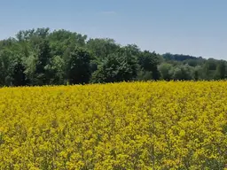 Ackerflächen 5,14 ha Nähe Andorf