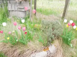 Einfamilienhaus mit Werkstatt