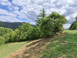 Idyllische Hanglage im Weitental