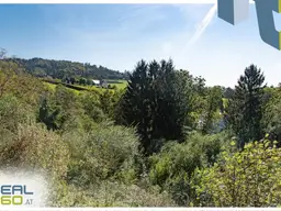 Idyllisches Hanggrundstück mit 8.500 m², nur 13min von Linz entfernt!