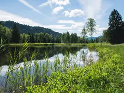 NATURPARADIES LÄNGSEE IN KÄRNTEN! NEUE 43 m² FERIENWOHNUNG MIT PRIVATTEICH! NEUBAU - LETZTE CHANCE!