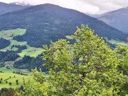 Idyllischer Berg-Bauernhof in Westendorf, mit Freizeitwohnsitz Bewilligung!