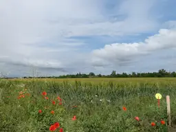 NEUER GEWERBEPARK FÜR KLEIN- UND MITTELBETRIEBE