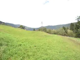"Traumhaftes landwirtschaftlich genutztes Grünland nahe der Gerlitzenalpe"