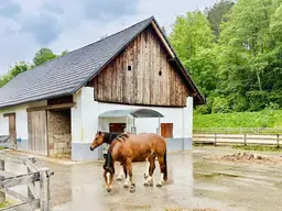 Exklusives Reitanwesen mit 6 Wohneinheiten &amp; Bauland in traumhafter Lage nahe dem Klopeiner See