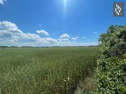 BETRIEBSGEBIET-GRUNDSTÜCK IN HAGENBRUNN!