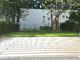 Gartenwohnung: Kirsch- und Feigenernte in diesem Sommer nähe Alte Donau