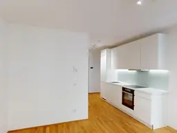 Neubauwohnung zu vermieten: Garconniere / 1 Zimmer Wohnung