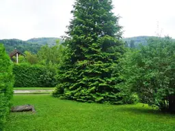820m² Baugrund in Eichgraben