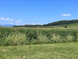 Wohnen wie im Paradies - Luxuriöse Einfamilienhäuser in der Thermen Region Bad Waltersdorf.