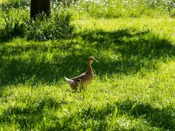 Gut Seeleiten