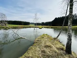 Besichtigungstag am 08.11.25! Idyllisches Freizeitdomizil in absoluter Ruhelage – Ein Paradies für Naturliebhaber