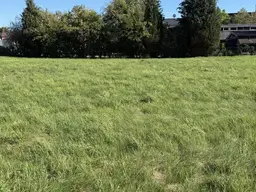 Grundstück(e) in zentraler Lage um nur 160.000 €!