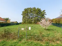 Genießen Sie die Südwest-Sonne: voll aufgeschlossenes Grundstück in Steinberg-Dörfl