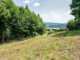 Erhöht gelegenes 911 m² Baugrundstück samt 5.000 m² Eigenwald in Stattegg