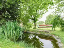 Lichtdurchfluteter Bungalow mit Gartenidylle in Wildon