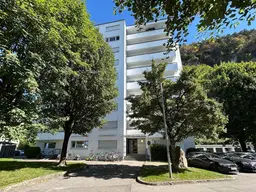 Hell, renovierte 1 1/2 Zimmerwohnung mit Balkon in Götzis langfristig zu vermieten!