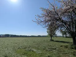Grundstück in Traumlage - Pfaffstätt / Mattighofen