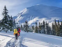 Freizeitwohnsitz-Ski in/Ski Out- Grundstück für 2 baugenehmigte Chalets in St Oswald/Bad Kleinkirchheim
