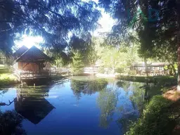 Willkommen auf unserer idyllischen Farm! Ideal für Tierliebhaber, Selbstversorger oder all jene, die einen Rückzugsort inmitten der Natur suchen. Geni