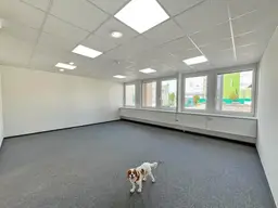 OLIVIA, Ihre ideale Büro-Lager Kombination in Inzersdorf