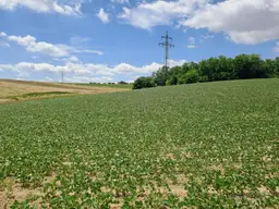 Landwirtschaftliche Fläche in Moosbrunn – 66.453 m². Kaufpreis auf Anfrage!